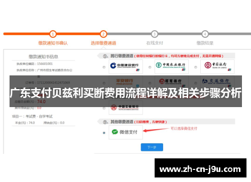 广东支付贝兹利买断费用流程详解及相关步骤分析