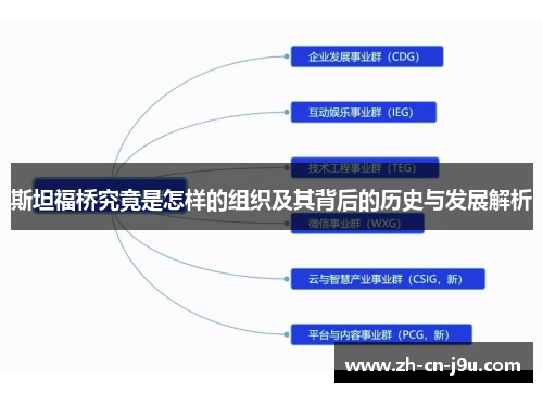 斯坦福桥究竟是怎样的组织及其背后的历史与发展解析