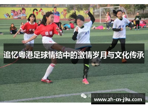 追忆粤港足球情结中的激情岁月与文化传承